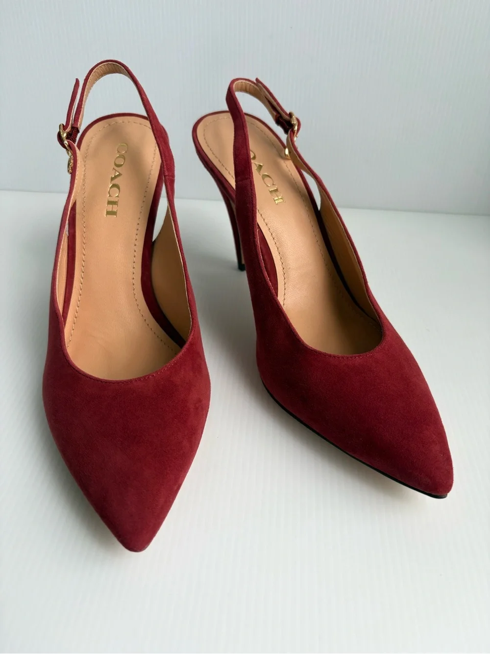 Coach size raspberry